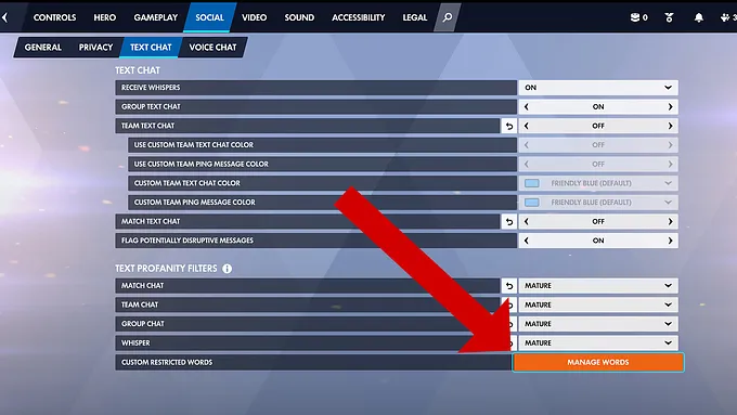Overwatch Options menu on the Social tab, Text Chat section, with a red arrow pointing to the Manage Words button next to Custom Restricted Words under Text Profanity Filters.
